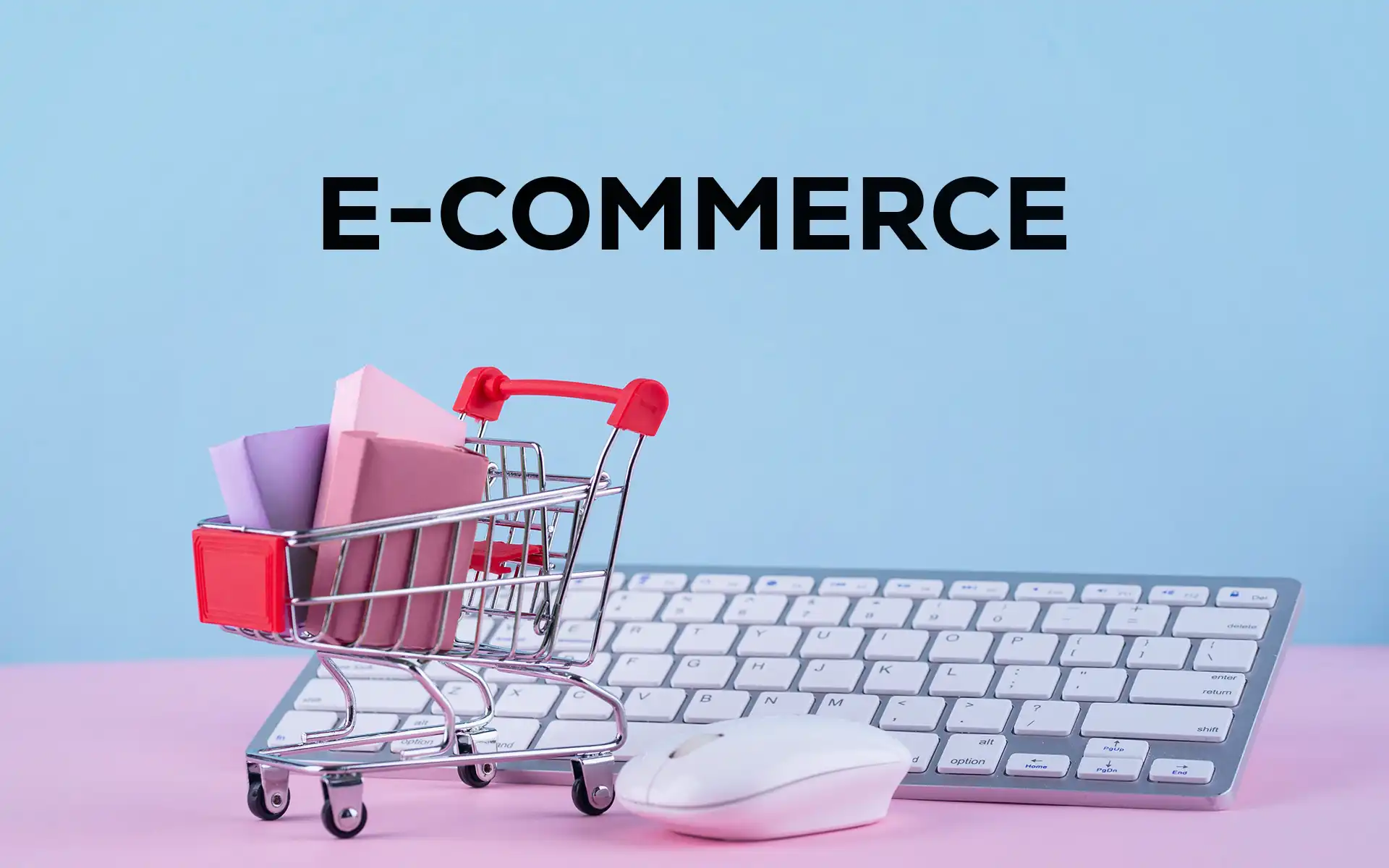 Image du service: Solutions E-commerce personnalisées